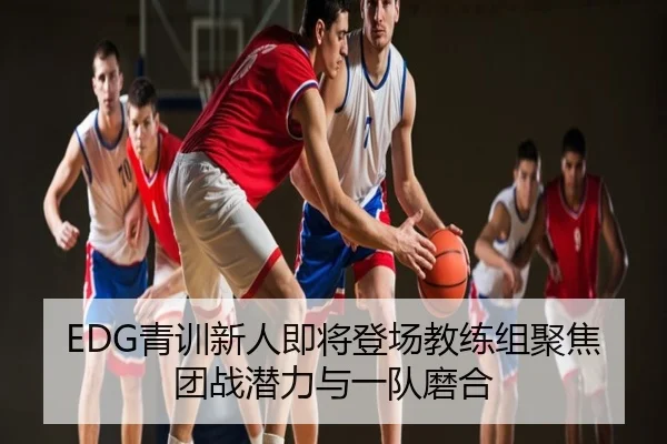 EDG青训新人即将登场教练组聚焦团战潜力与一队磨合
