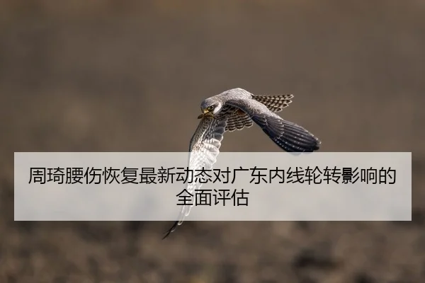 周琦腰伤恢复最新动态对广东内线轮转影响的全面评估