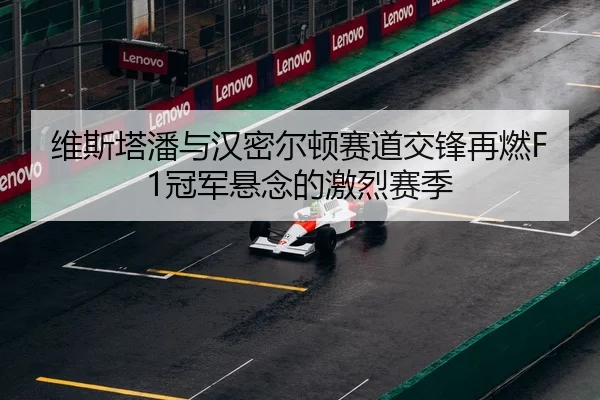 维斯塔潘与汉密尔顿赛道交锋再燃F1冠军悬念的激烈赛季